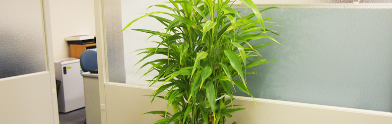 ���₢���킹 l �J��������v�������@�o�������Ɩ��@���̐ŗ��m������