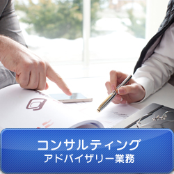 �R���T���e�B���O�@�A�h�o�C�U���[�Ɩ�