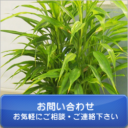 ���₢���킹 ���C�y�ɂ����k�E���A��������